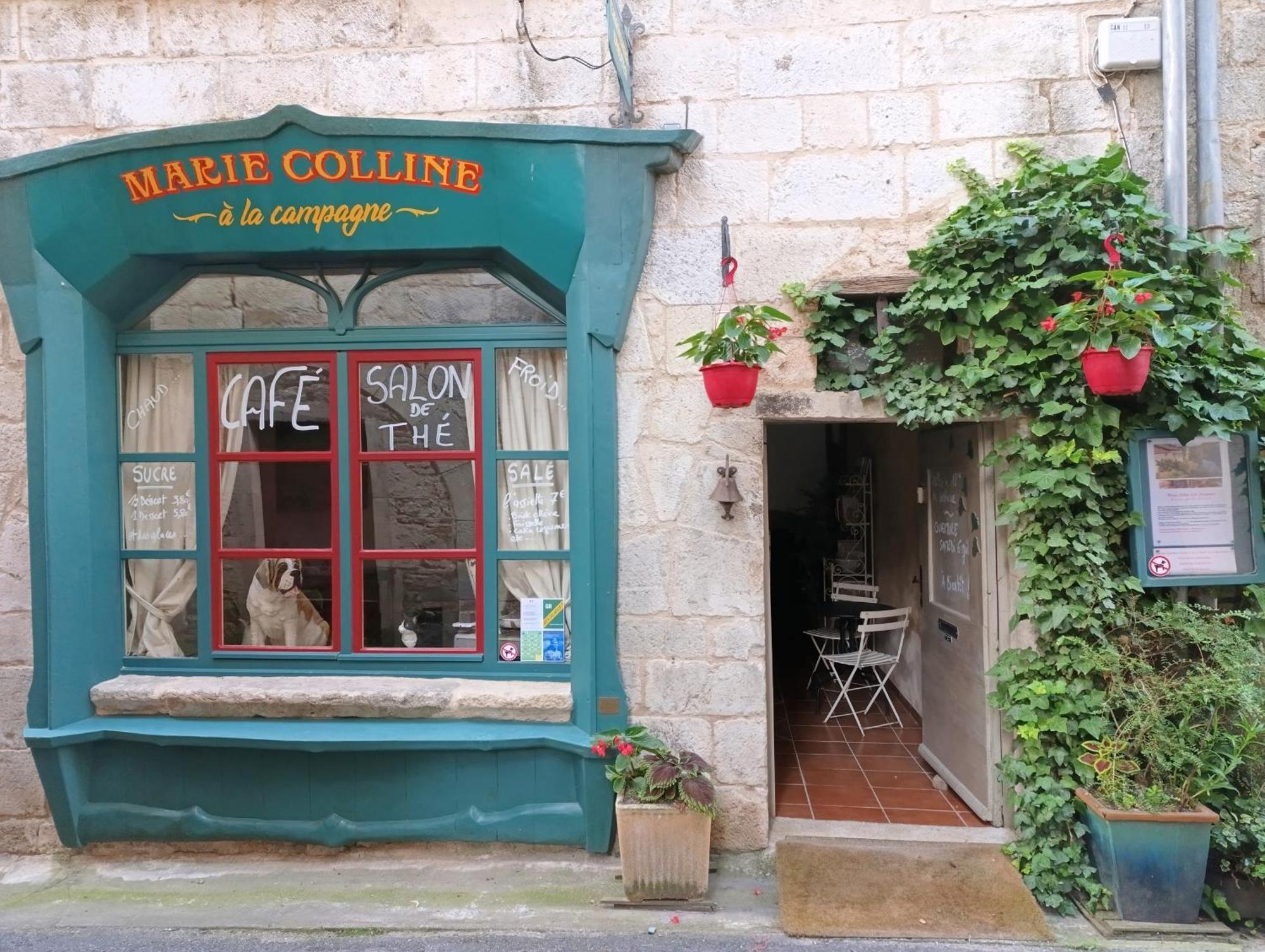Marie Colline A La Campagne Bed & Breakfast Saint-Antonin Ngoại thất bức ảnh